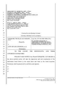 amended deposition excessive plf alvarado